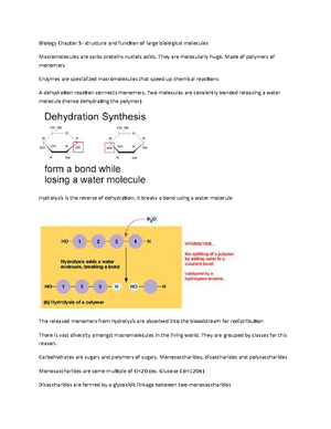 Chapter 5 The Structure and Function of Large Biological Molecules ...