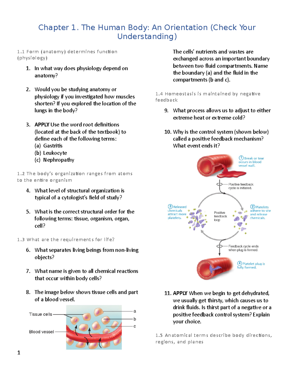 Chapter 1-10. (Check Your Understanding Questions) - Chapter 1. The ...