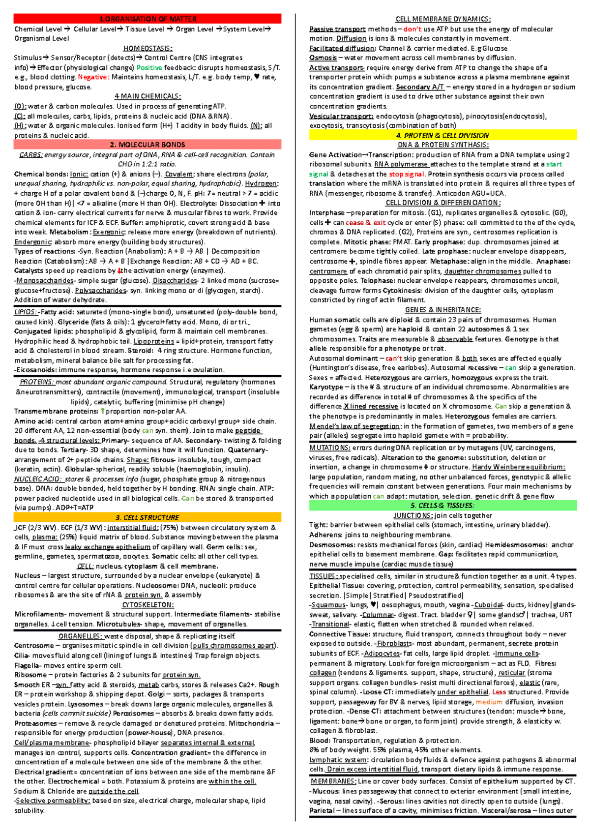 A4 Memory Aid - Colour - Cheat Sheet - 1 OF MATTER Chemical Level ...