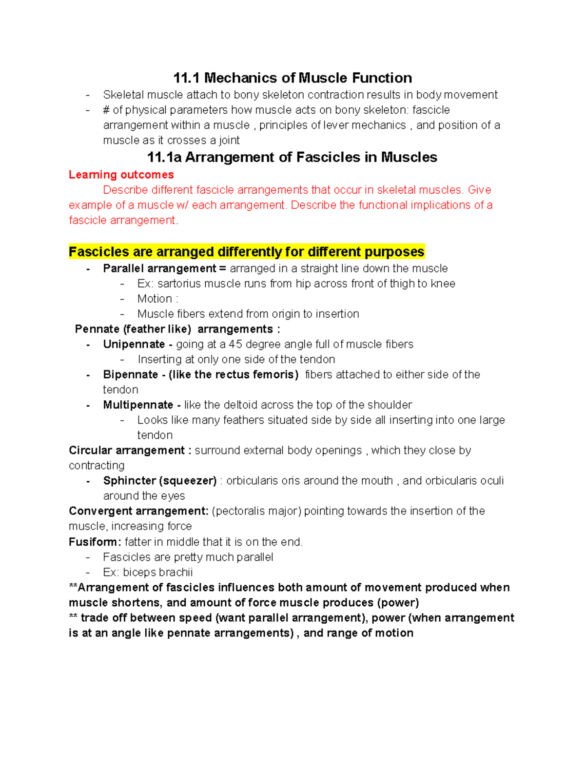 Human anatomy ch.11 sec 1 2 3 4 11 Mechanics of Muscle Function