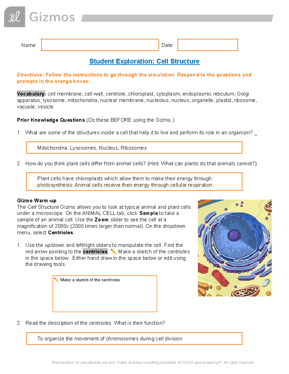 Copy Of Cell Structure SE - Name: Date: Student Exploration: Cell ...