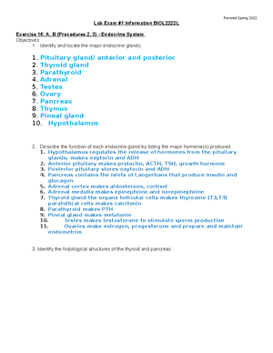 Molecular Modeling 2 Chem 3361l Studocu