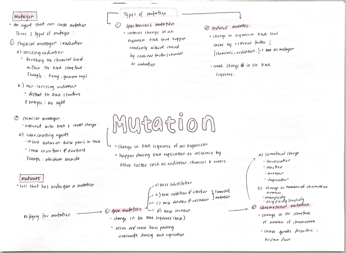 Chapter 9 Mutation (Mind Map) - Mutager Types of Mutation An agent that ...