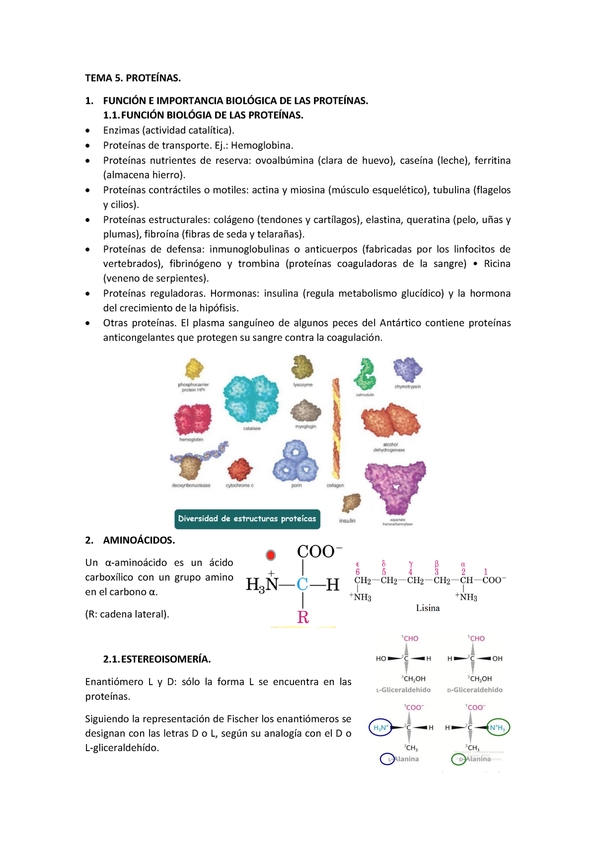 5 Proteínas Tema 5 Tema 5 ProteÍnas 1 FunciÓn E Importancia BiolÓgica De Las ProteÍnas 0896