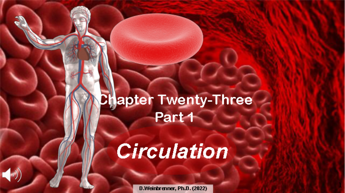 Chapter+23-Circulation-2022+VOw N oct2022 - Circulation D, Ph. (2022) 1 ...