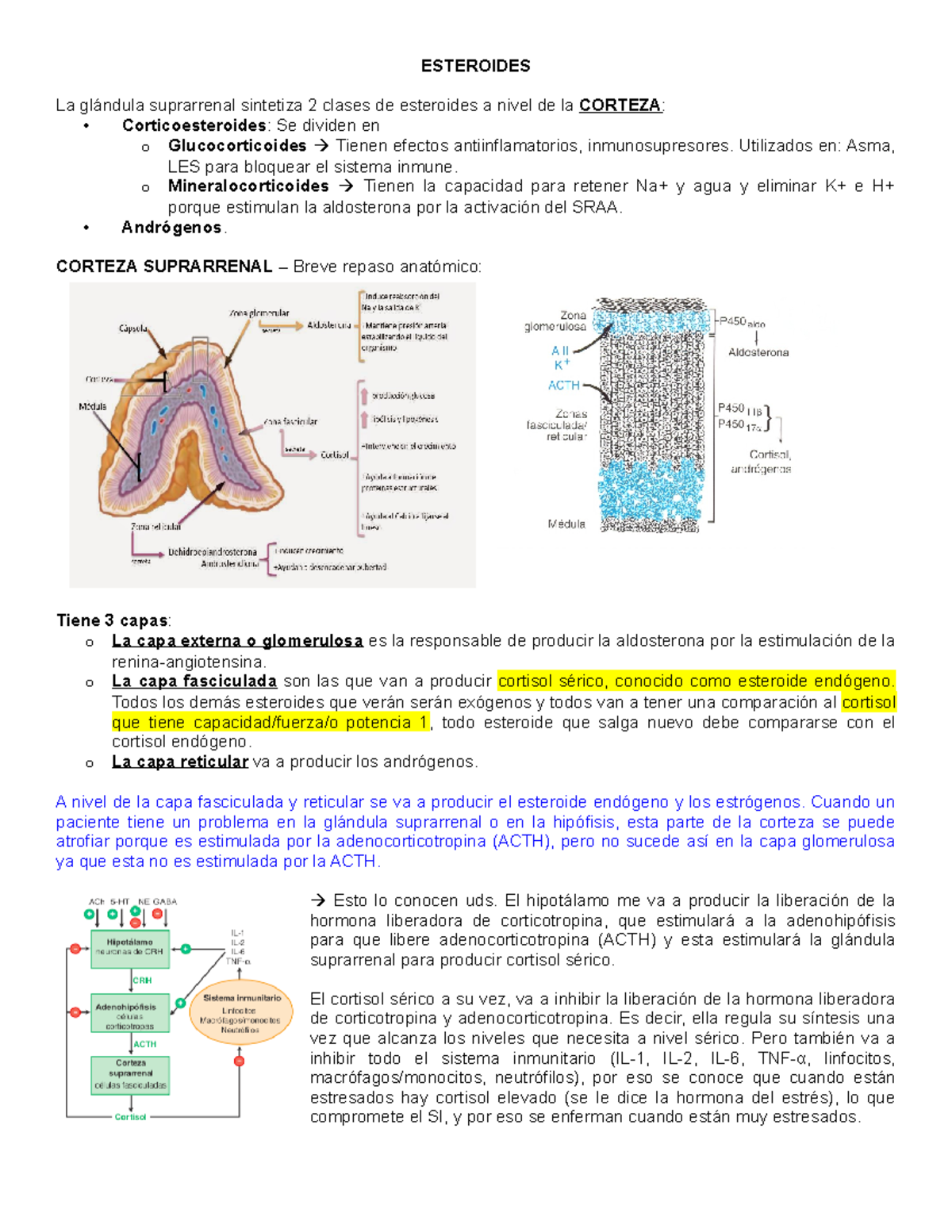 1. Esteroides - farmaco - ESTEROIDES La glándula suprarrenal sintetiza ...