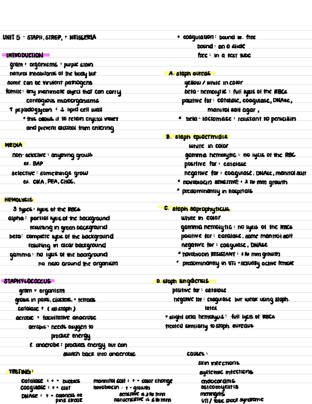 Microbiology Study - Unit 5 - UNIT 5 STAPH , STREP , ####### NEISSERIA ...