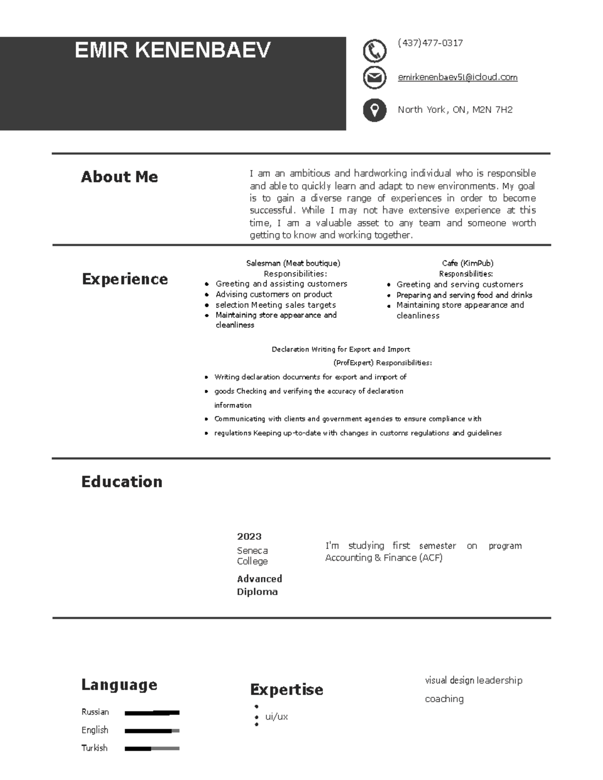 Abu Abu Minimalist Resume EMIR - Thumb 1200 1553 