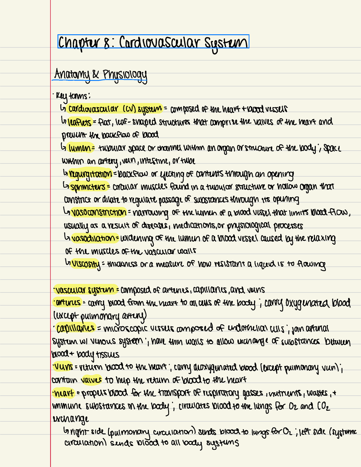 medical terminology chapter 8 assignment