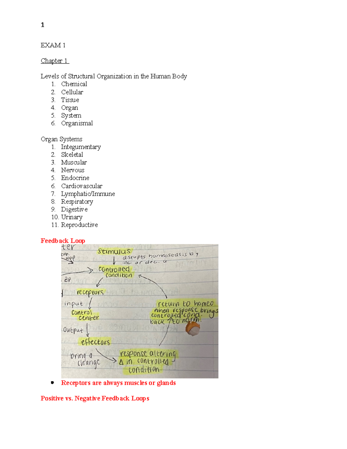 BIOL110 Final Study Guide - EXAM 1 Chapter 1 Levels Of Structural ...