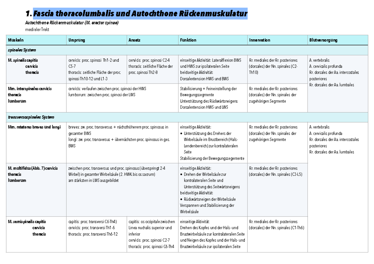 Fascia thorcaolumbalis und Autochthone Rückenmuskulatur - 1. Fascia thoracolumbalis und ...