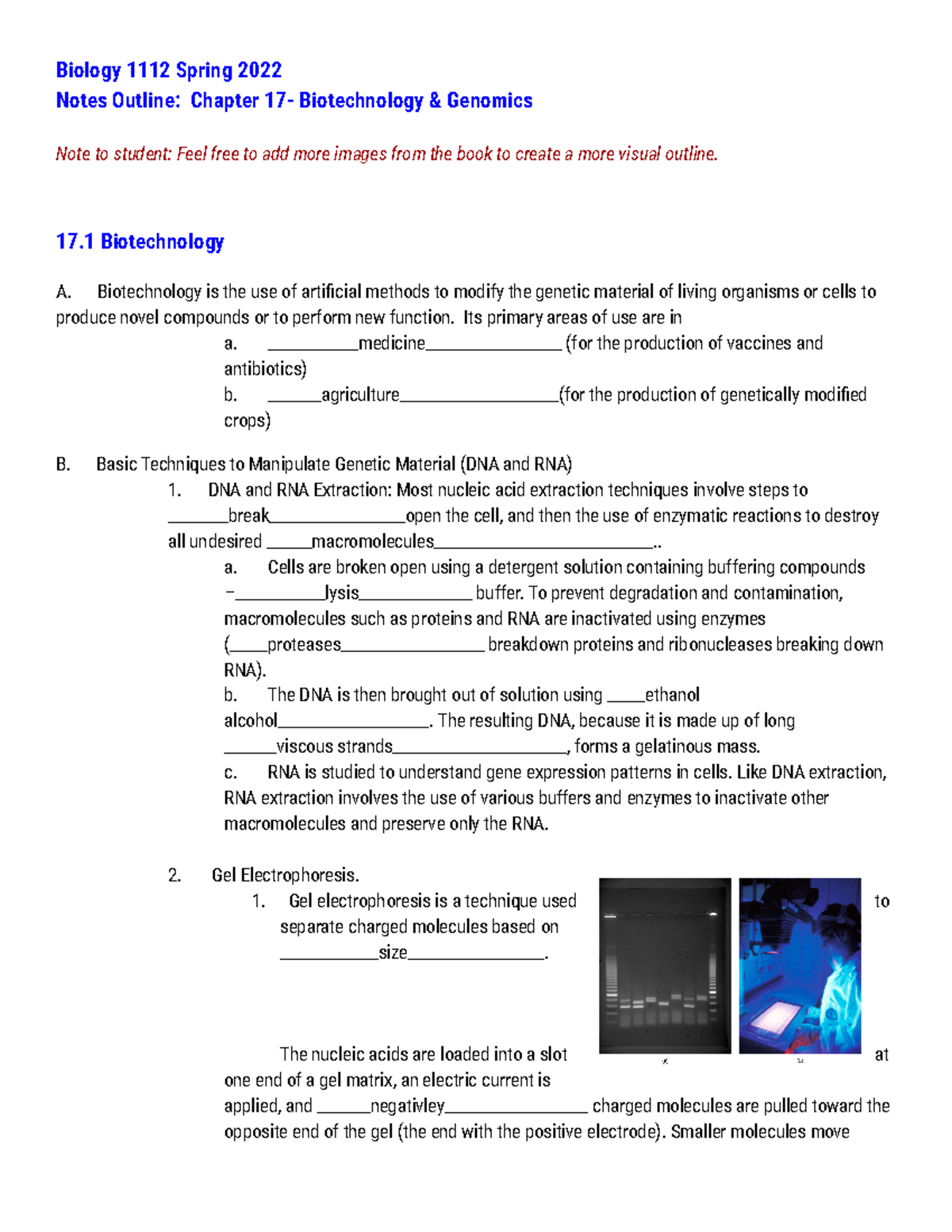 General Biology II Reading Guide Chapter 17 - Biology 1112 Spring 2022 ...