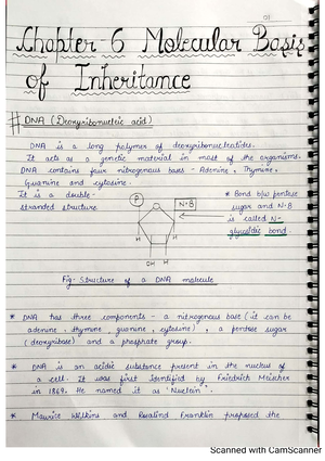 Pyq Biology Biology Sl Pyq Biology Nutrition