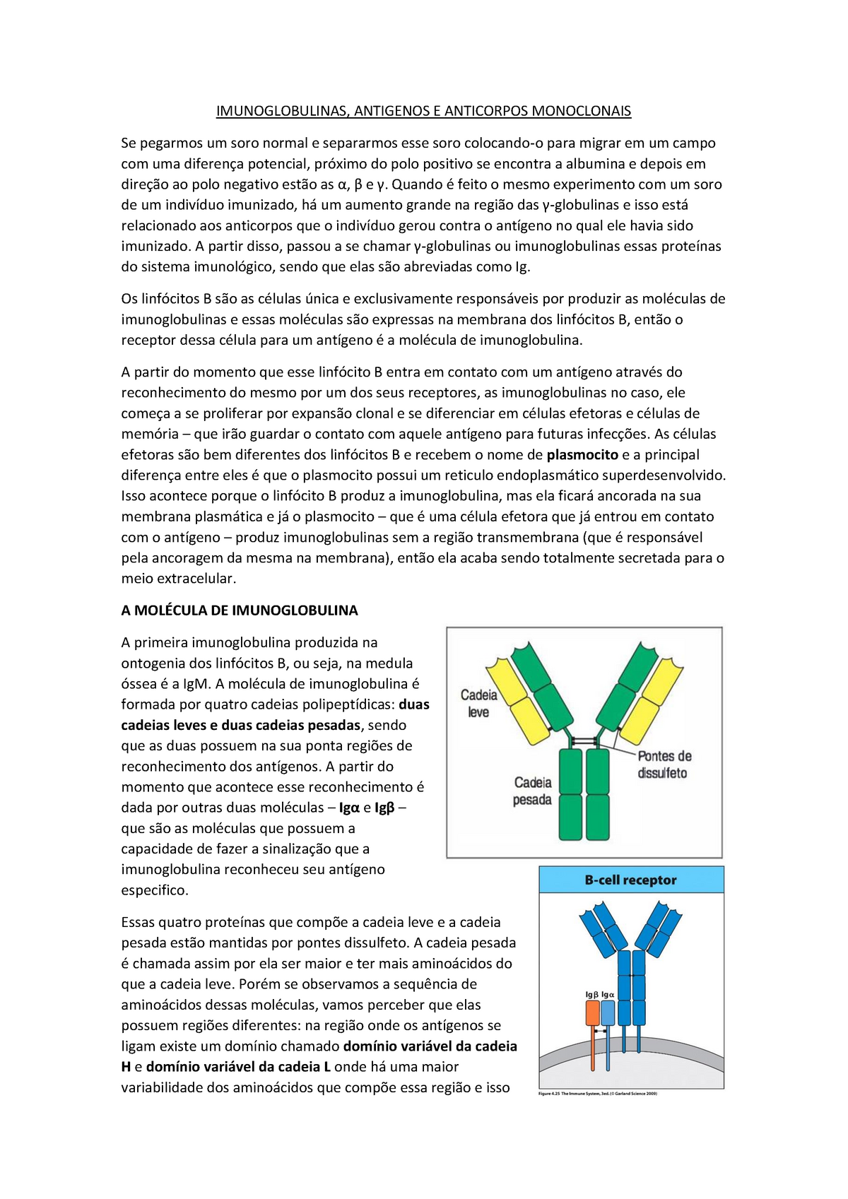 Anticorpos 2 - Resumo Microbiologia E Imunologia B - IMUNOGLOBULINAS ...