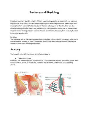 Anatomy and physiology of the breast