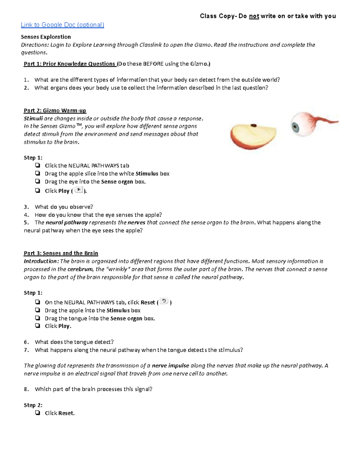 Senses Gizmo Answers: The Ultimate Cheat Sheet - 1fm18el