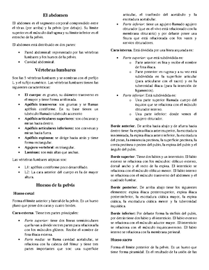 IrrigacióN Anatomia II - Arco vascular de Drummond y de Riolano En ...