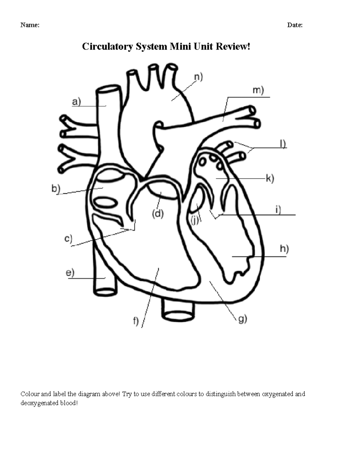 Circulatory unit Review - Name: Date: Circulatory System Mini Unit ...