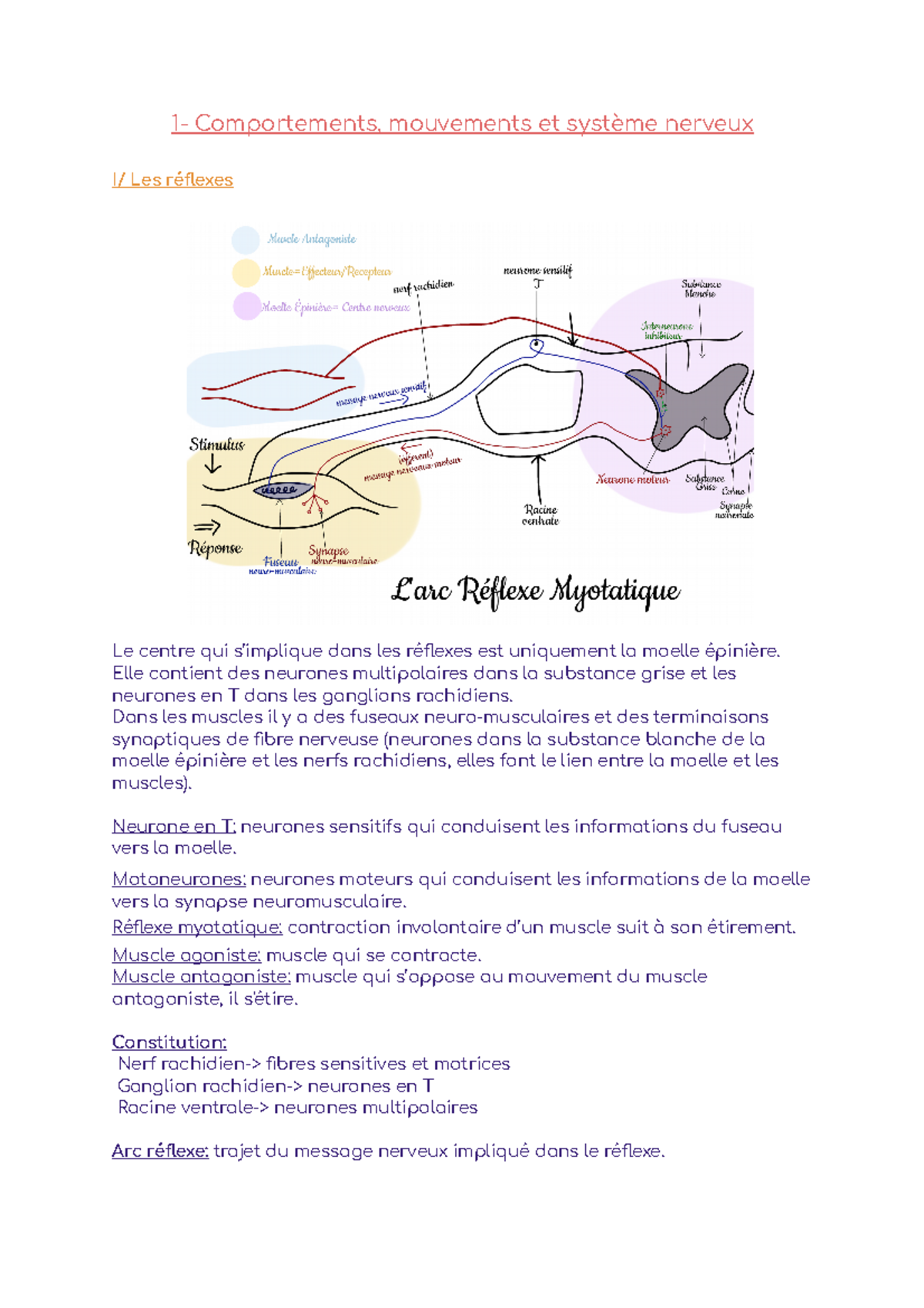 Laufzeitfehler 9 Index Außerhalb Des Gültigen Bereichs SVT Chapitre 1 : Comportements, mouvements et système nerveux - 1
