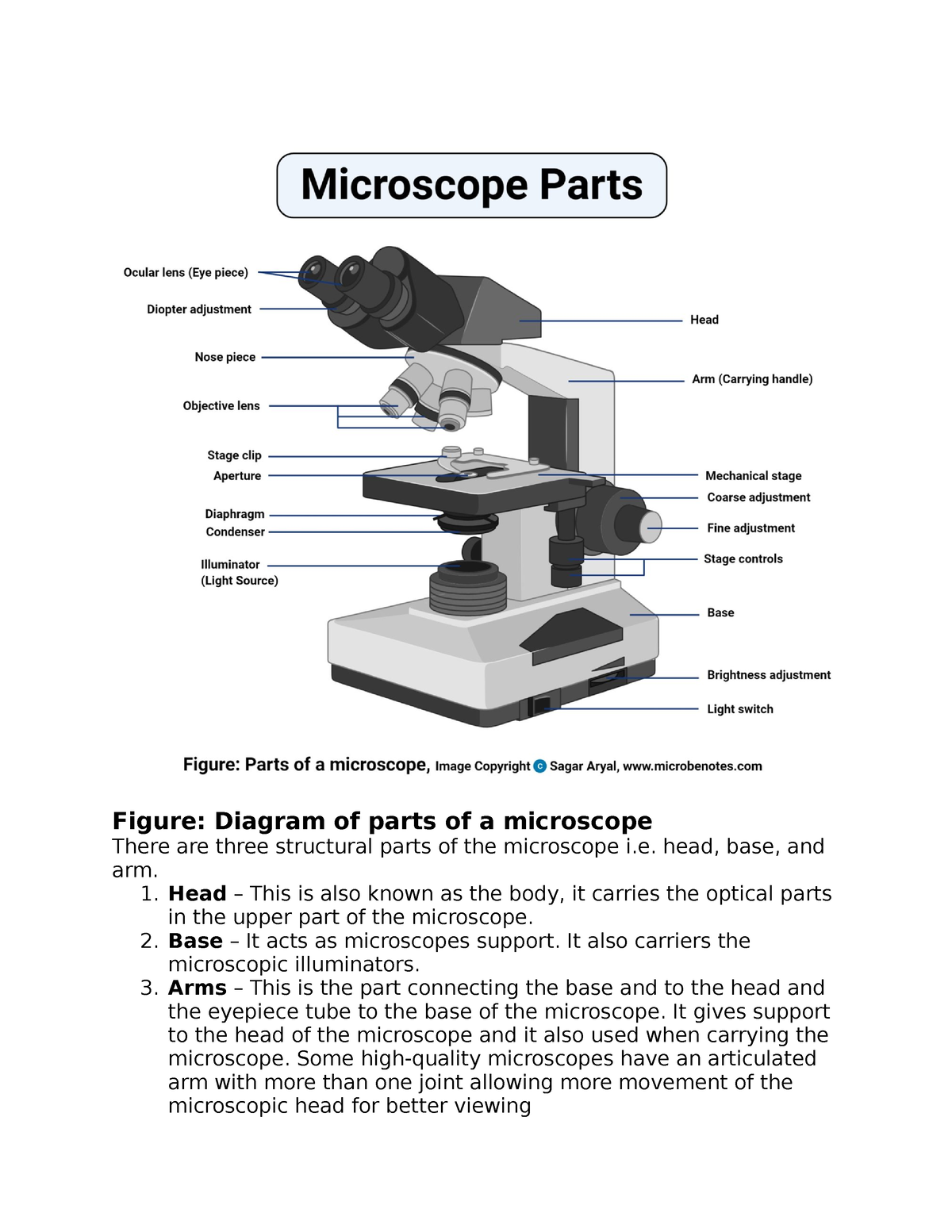 Microscope Parts - Figure: Diagram of parts of a microscope There are ...