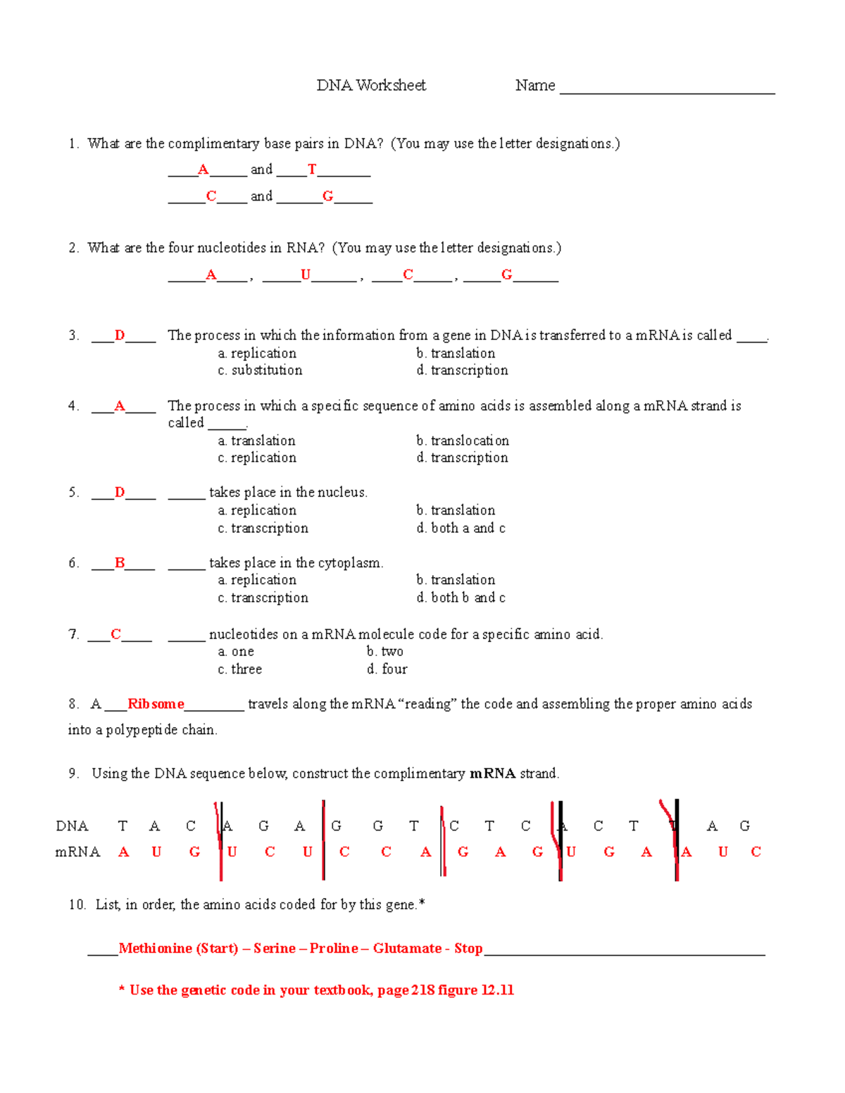 DNA Worksheet - KEY - DNA Worksheet Name ...