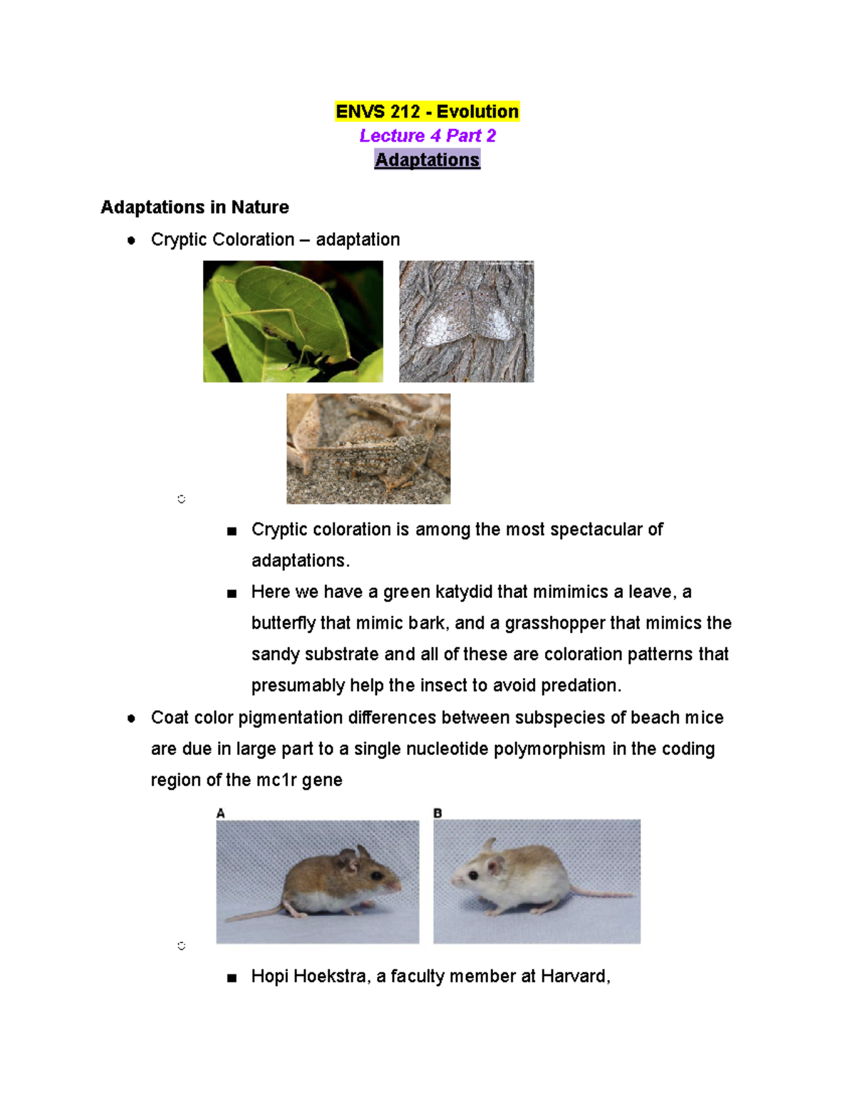 ENVS 212 Lecture 4 Part 2 - Spring 2020 - ENVS 212 - Evolution Lecture ...