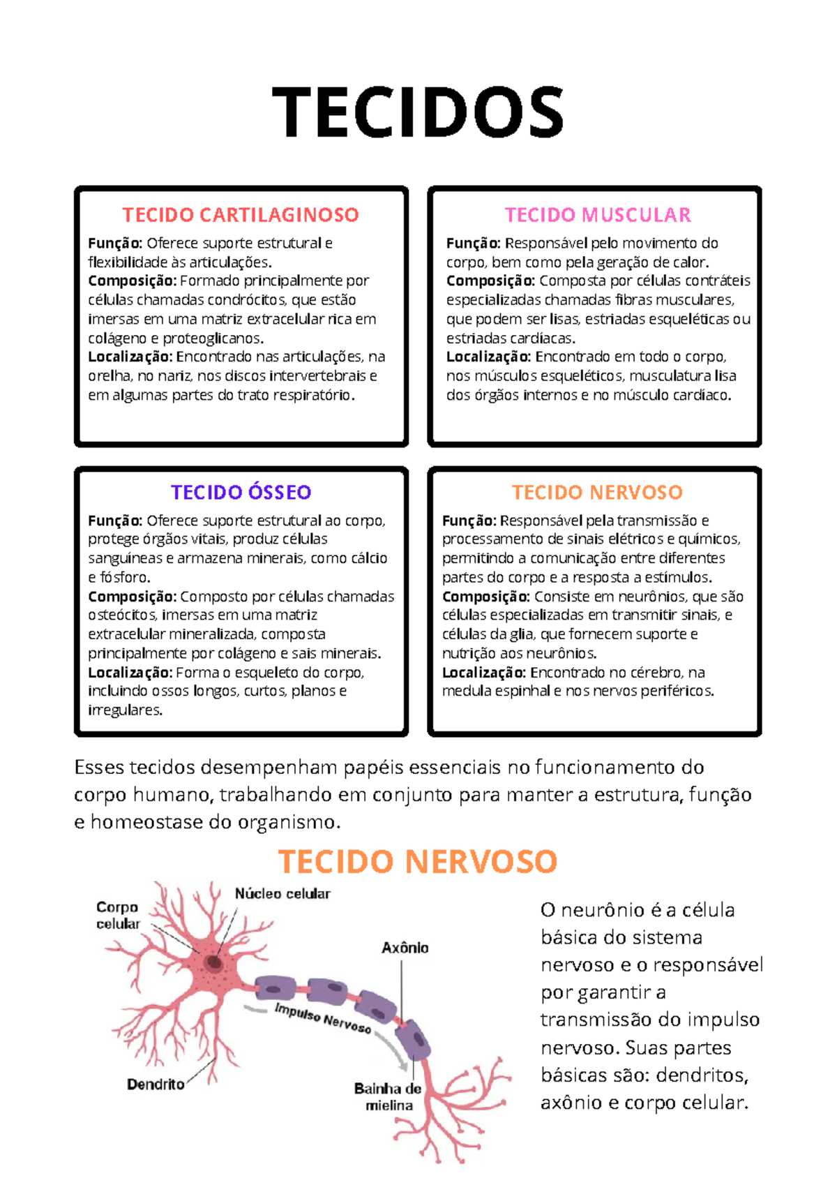 Tecidos - TECIDOS TECIDO CARTILAGINOSO TECIDO ÓSSEO TECIDO MUSCULAR ...