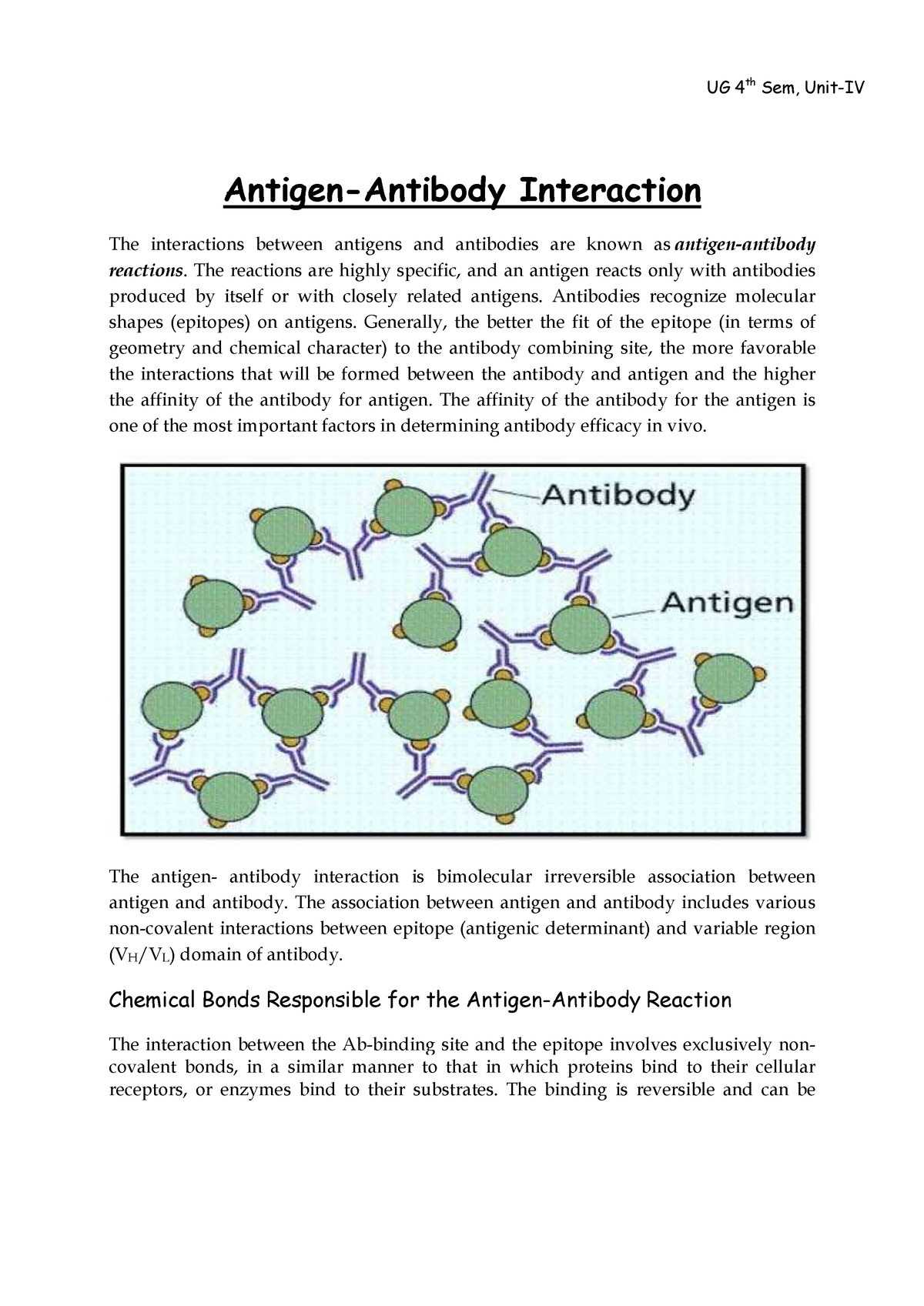 Antigen-Antibody Interaction - Antigen-Antibody Interaction The ...