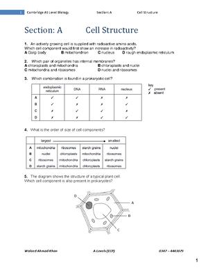 Photosynthesis Structure Scale Worksheet - Molecular Biology - Uol 