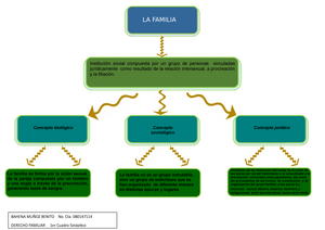 Mapa Conceptual conceptp de familia - Institución social compuesta por un  grupo de personas - Studocu