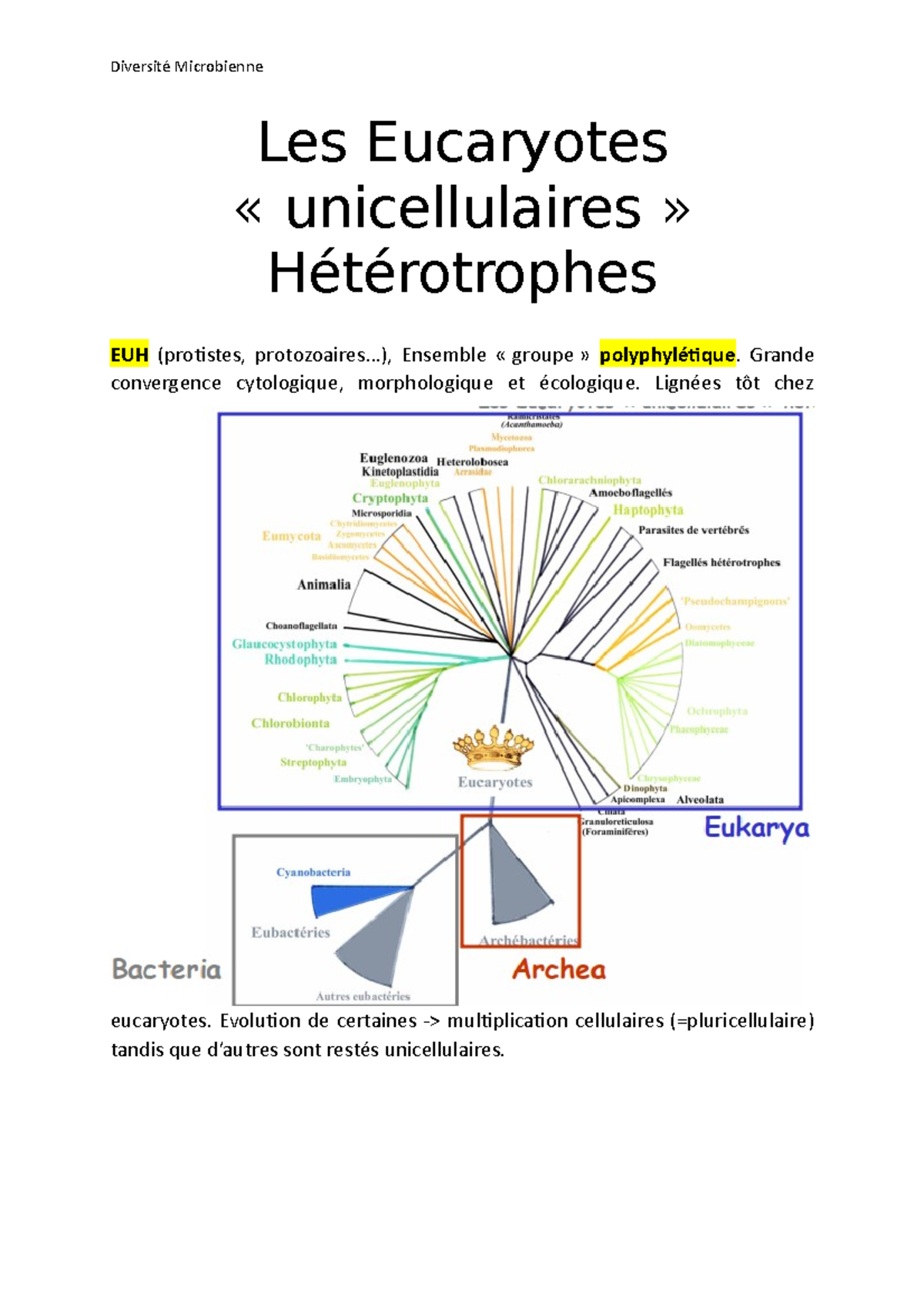 Classe D'organisme Eucaryote Unicellulaire www.studocu.com