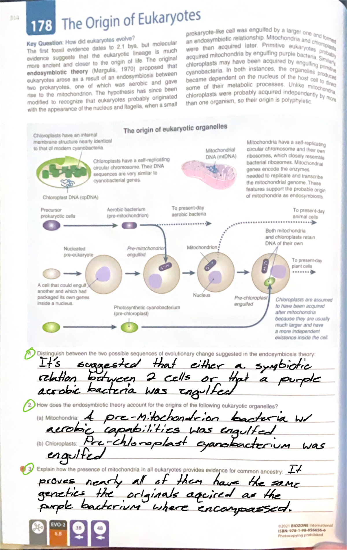 7.7 Biozone - The pages assigned to us at the moment - It's suggested ...