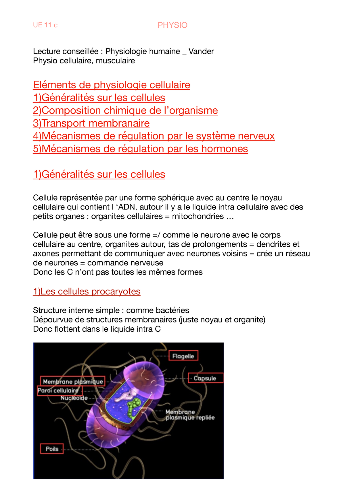 Physio Cellulaire - Notes De Cours 1-40 - UE 11 C PHYSIO Lecture ...