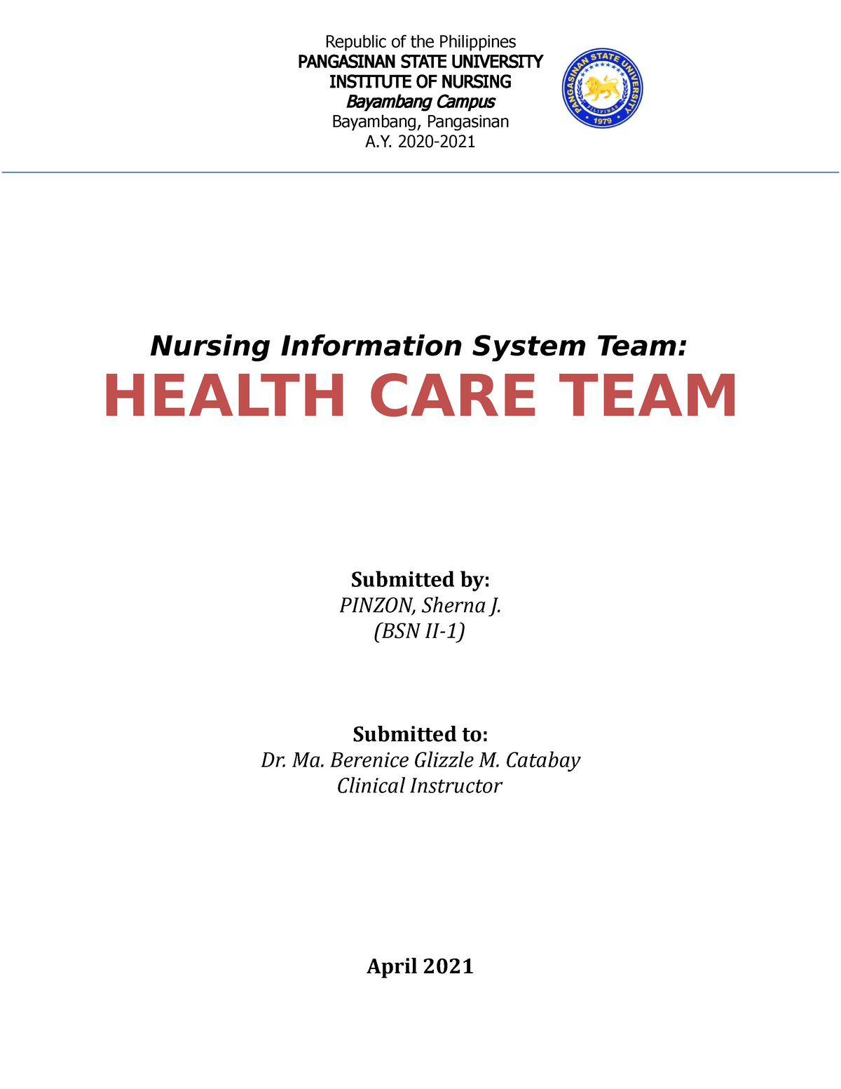 assignment on health care team