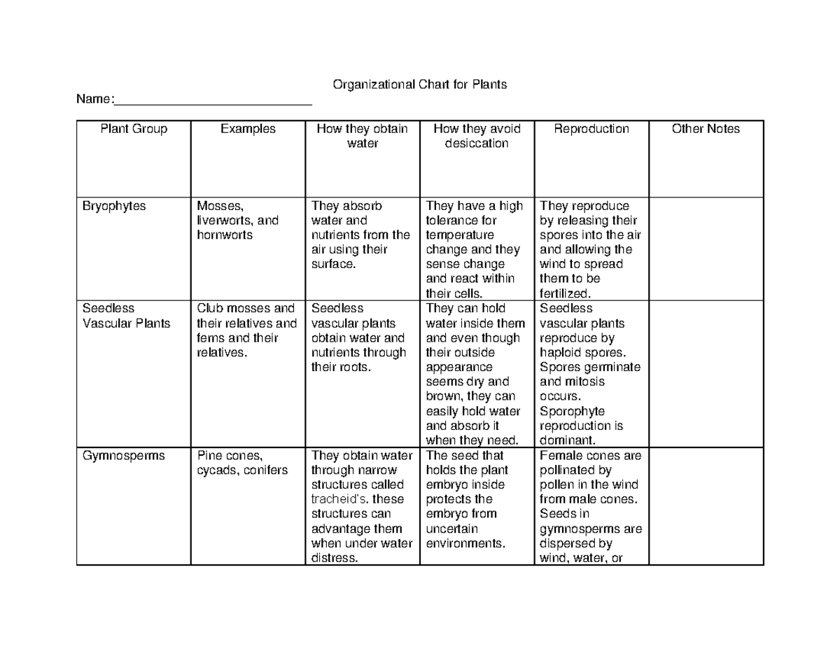 Organizational Chart for Plants - Organizational Chart for Plants Name