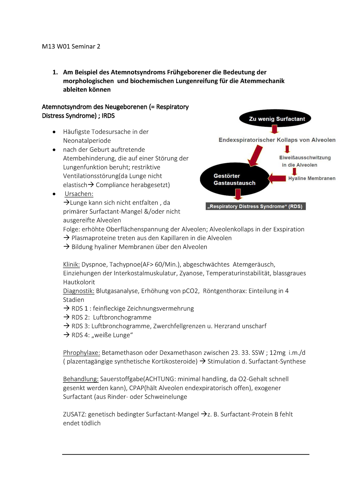 Atemmechanik - Vorlesungsnotizen Seminar 2 - M13 W01 Seminar 2 1. Am ...