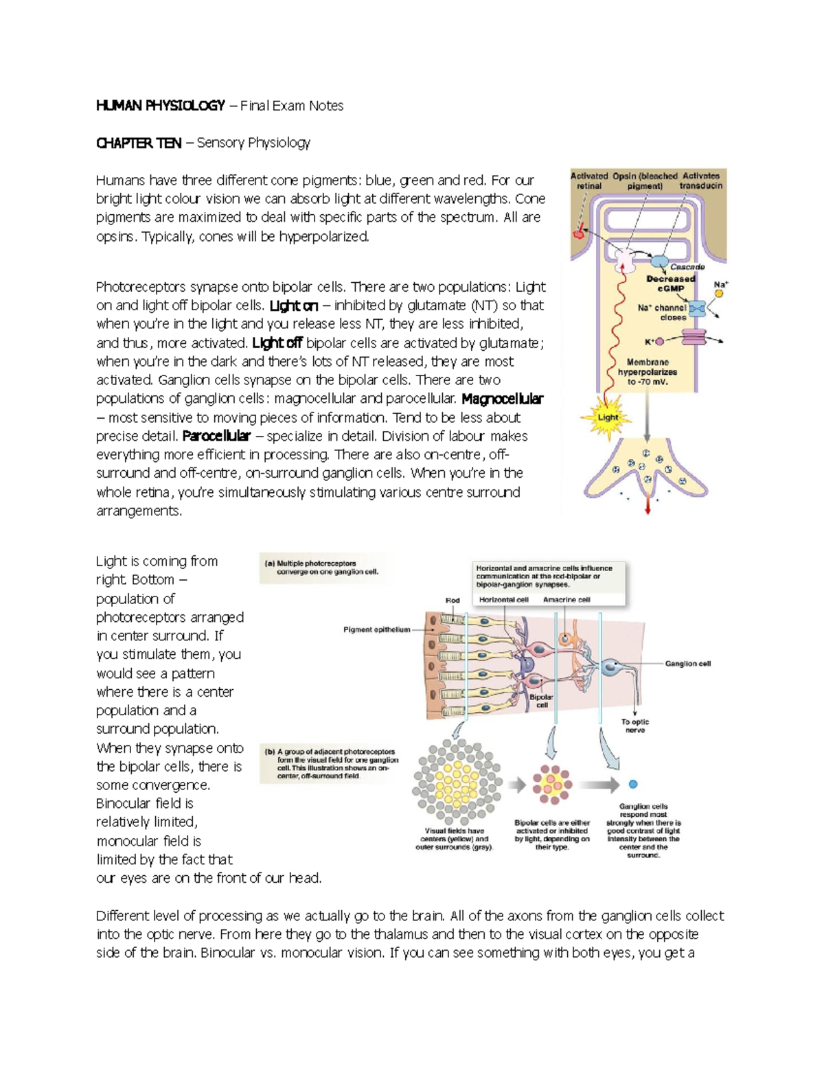 Summary - All Lectures, Final Exam Notes - HUMAN PHYSIOLOGY – Final ...