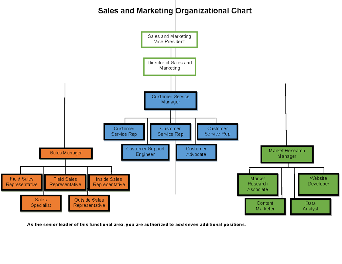 BUS-FPX3011 Assessment 2-2 - Sales and Marketing Organizational Chart ...