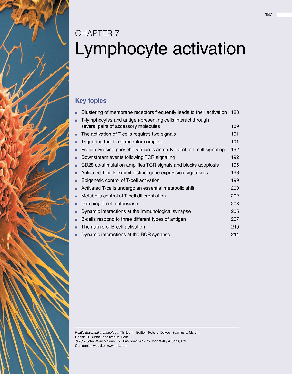 Lymphocyte Activation - 187 Roitt’s Essential Immunology, Thirteenth ...