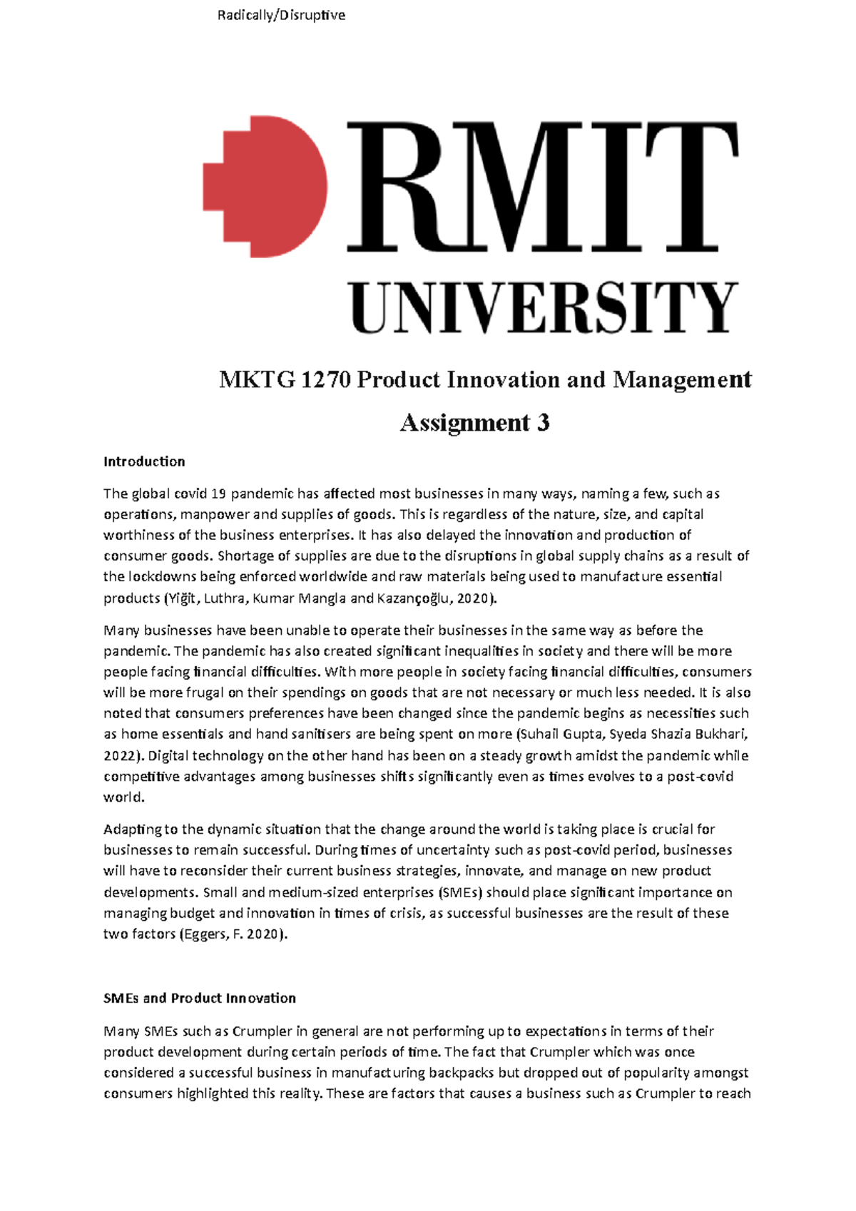 PIM A3 - Product innovation and management final assignment - MKTG 1270 ...