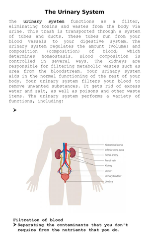 Physical Fitness - HISTORY OF PHYSICAL FITNESS The evolution of fitness ...