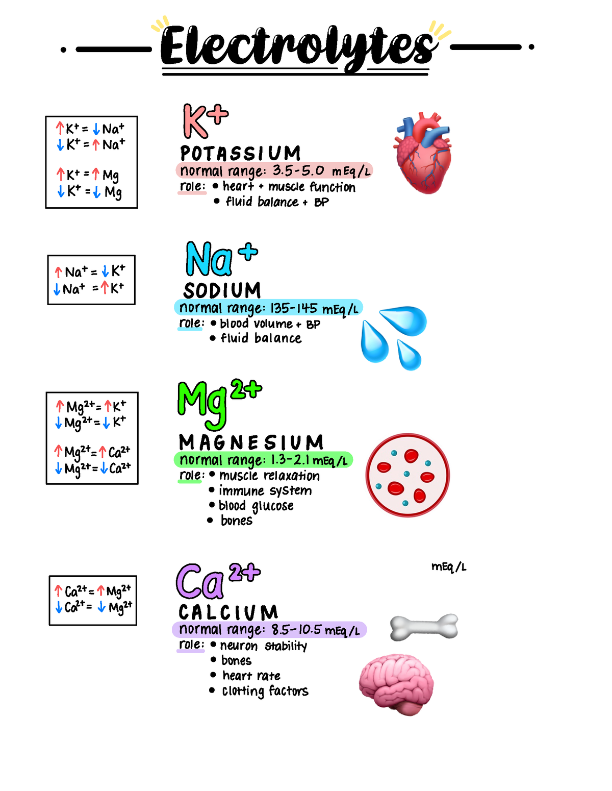 Electrolytes will healkp Clinical Chemistry Studocu