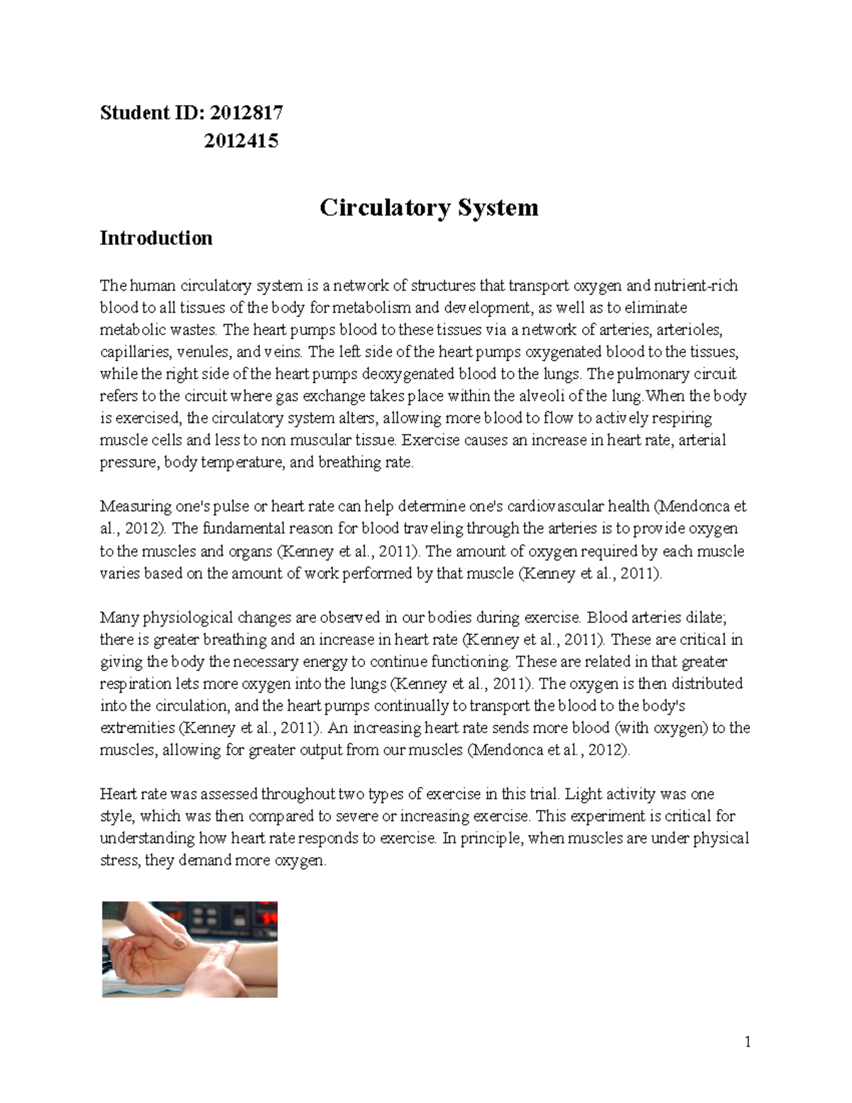Circulatory System Lab Report BSc(Hons) Biological Sciences UoM