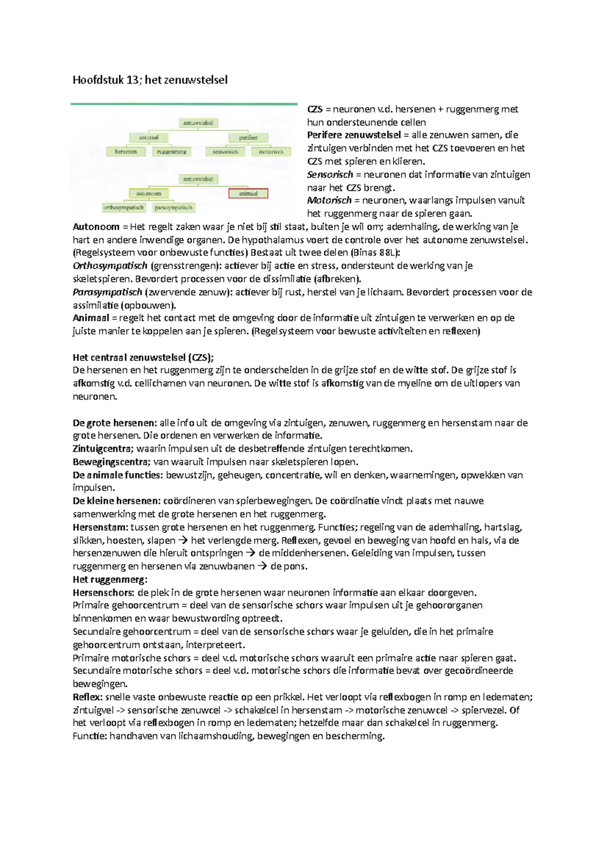 Biologie Samenvatting Het Zenuwstelsel - Hoofdstuk 13; Het Zenuwstelsel ...