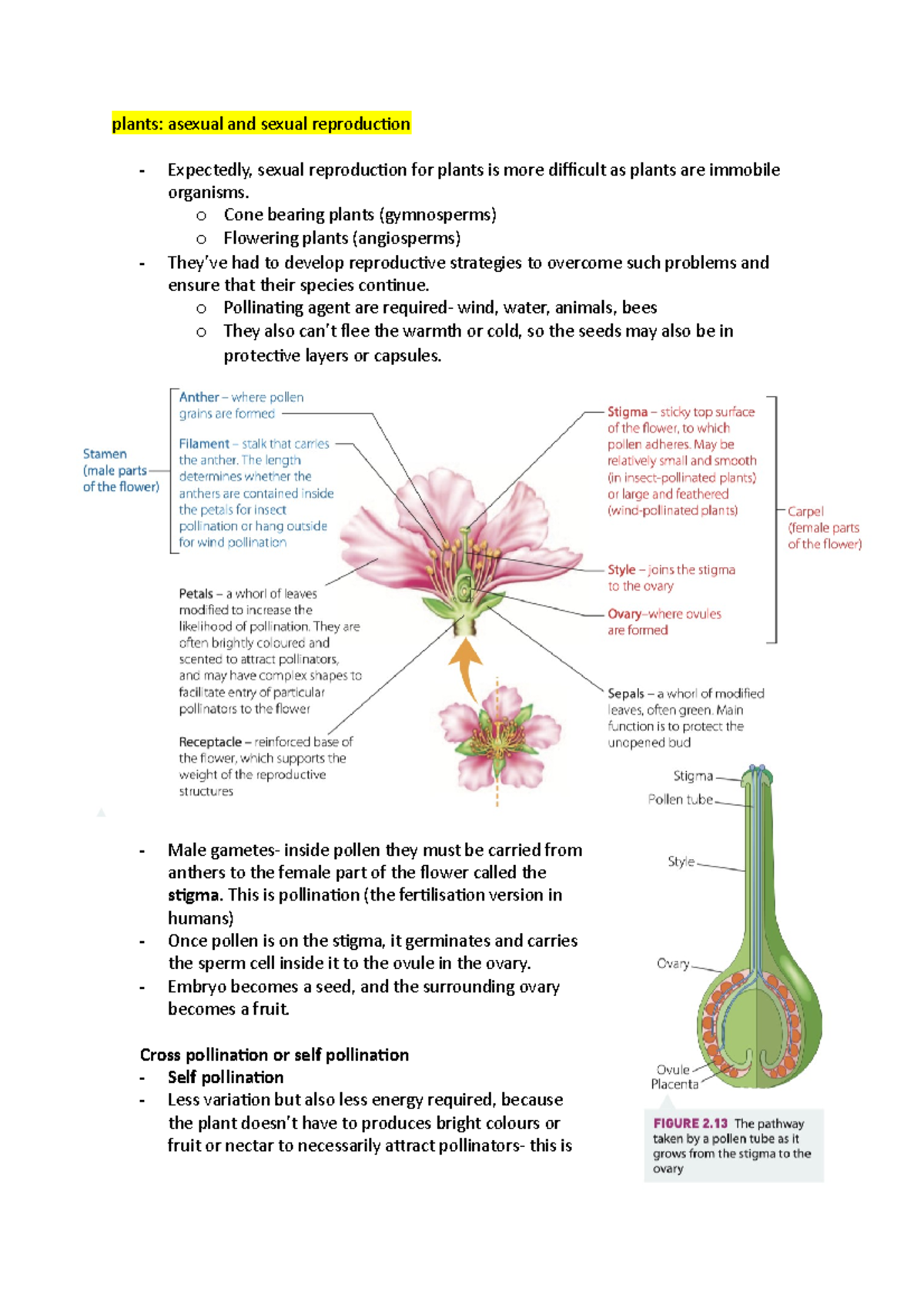 Mod 5- plants and other modes of reproduction - plants: asexual and ...