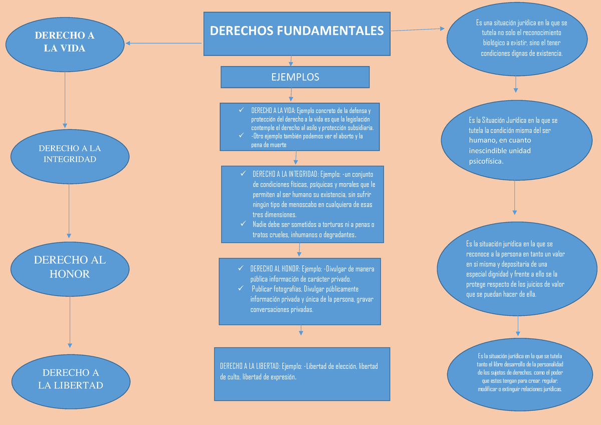 Derechos Fundamentales Derecho A Derechos Fundamentales La Vida Derecho A La Integridad 9359