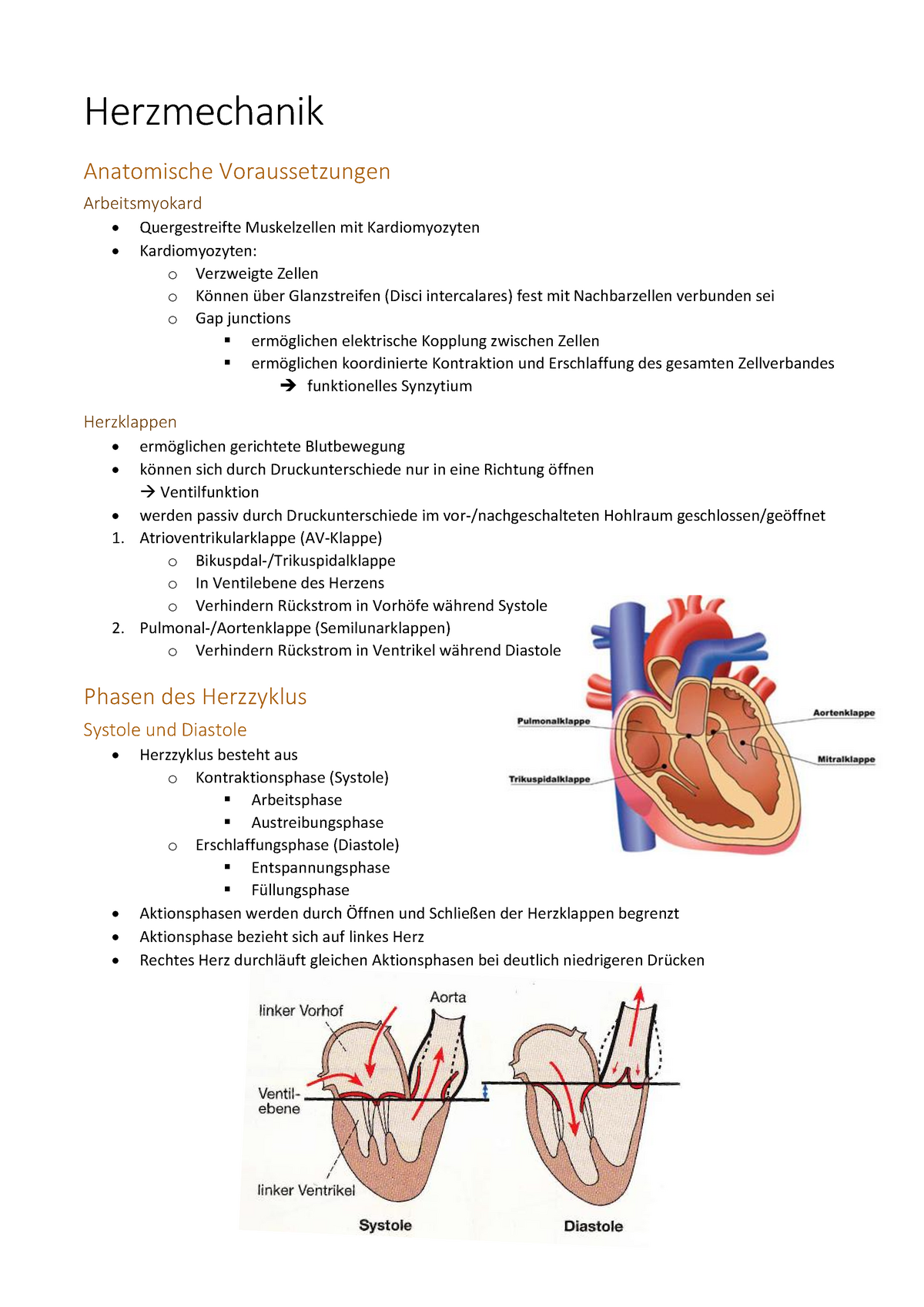 Praktikumsinhalte Aus Dem Kurs "Physiologie Für Mediziner ...