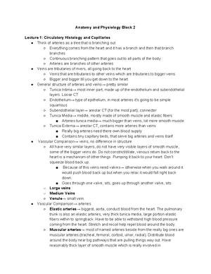 Block 3 Study Guide Endocrine & Digestive Systems - Endocrine System ...