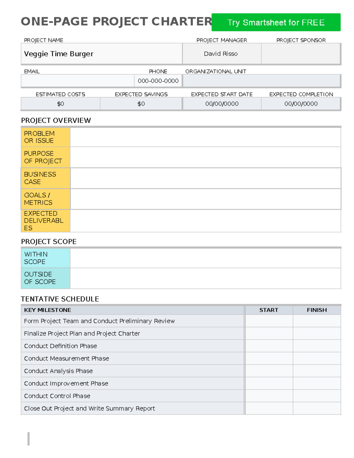 IC-One-Page-Project-Charter-8556 WORD - ONE-PAGE PROJECT CHARTER ...