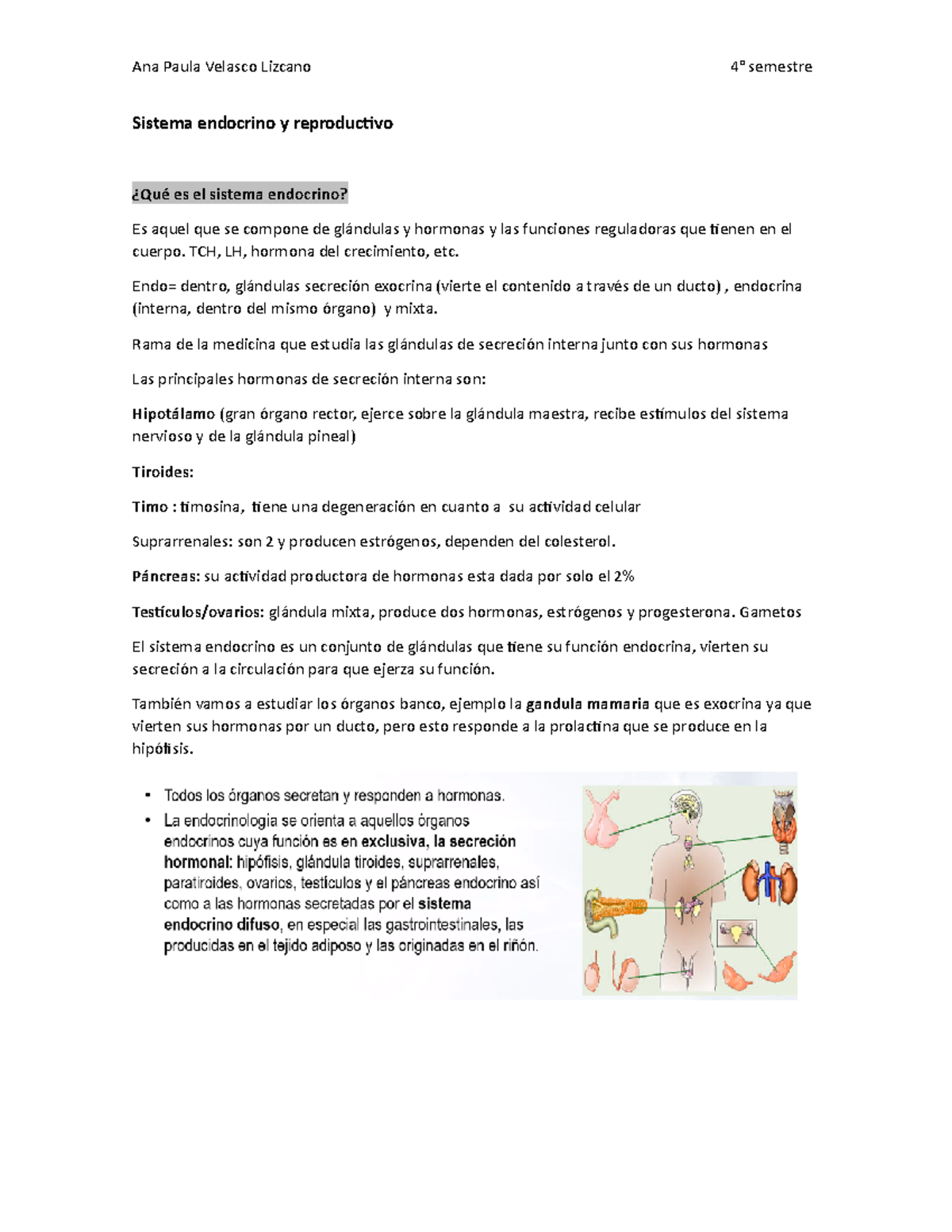 Sistema Endocrino Y Reproductivo 1° Parcial Sistema Endocrino Y